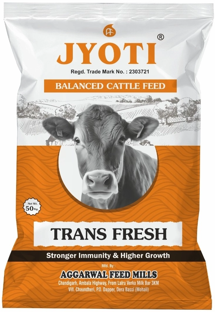 Trans Fresh
